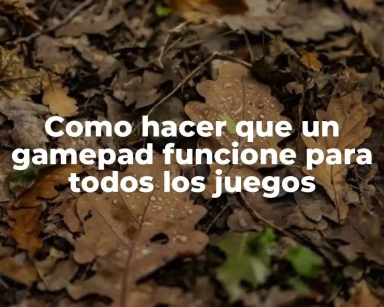 Como hacer que un gamepad funcione para todos los juegos