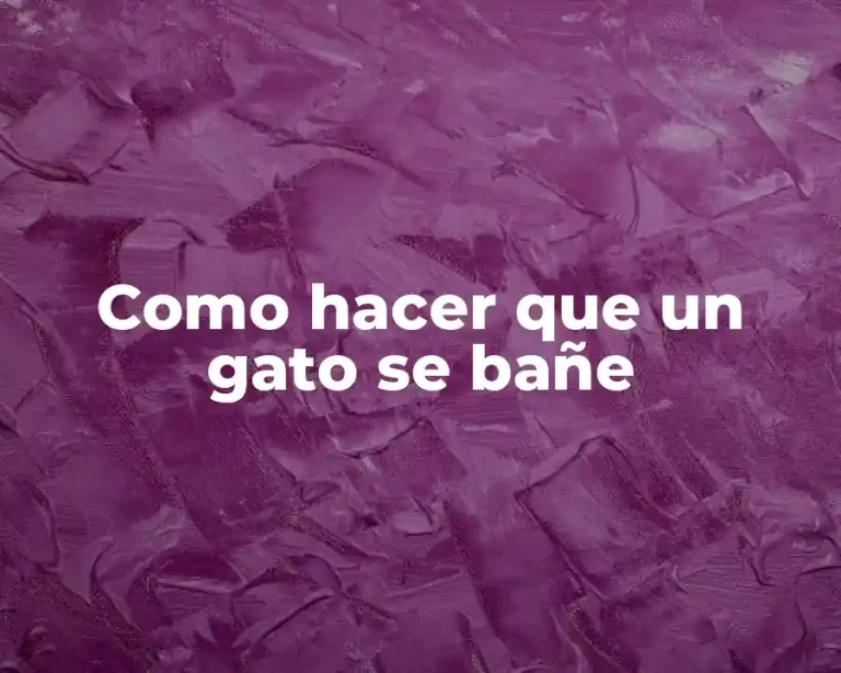 Como hacer que un gato se bañe