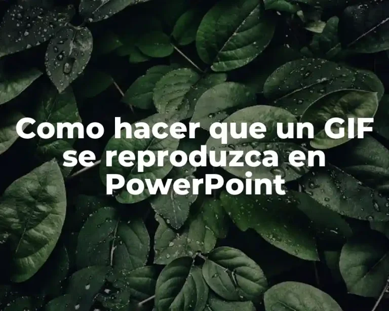 Como hacer que un GIF se reproduzca en PowerPoint
