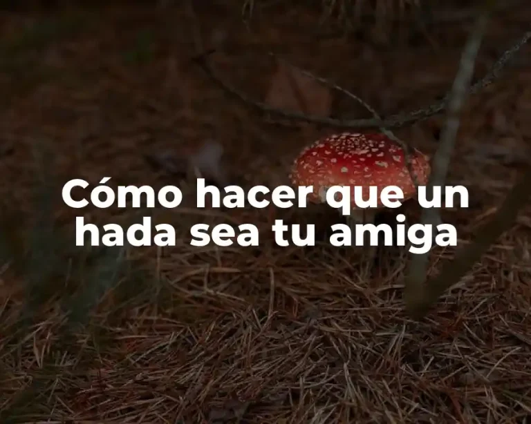 Cómo hacer que un hada sea tu amiga