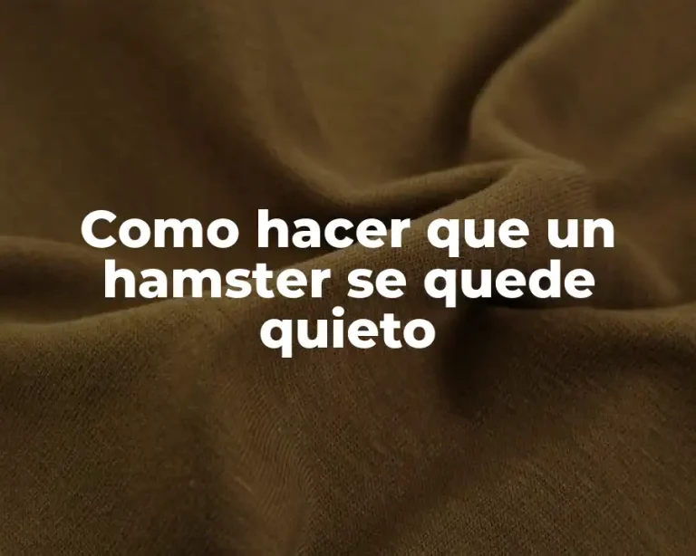 Como hacer que un hamster se quede quieto