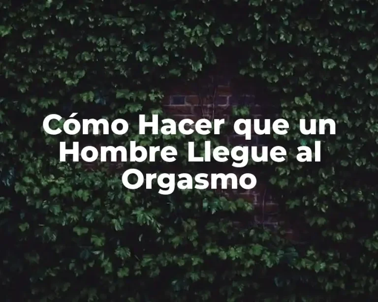 Cómo Hacer que un Hombre Llegue al Orgasmo