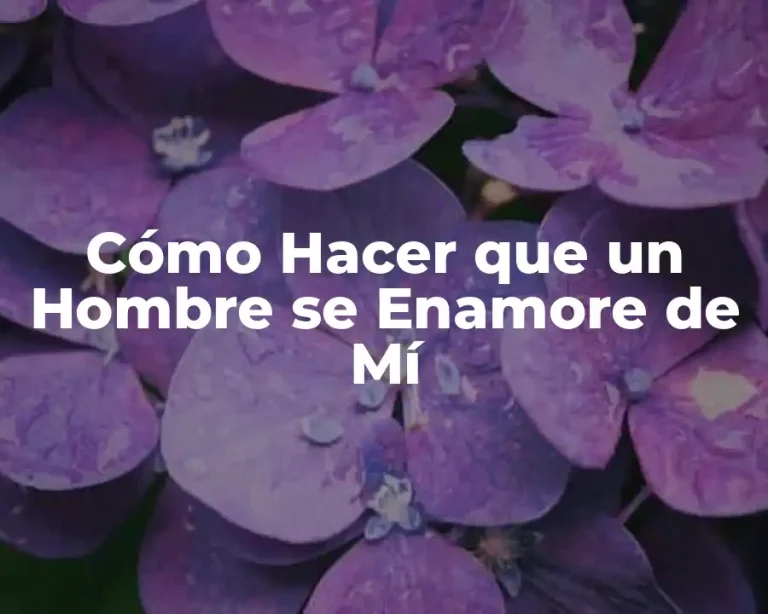 Cómo Hacer que un Hombre se Enamore de Mí
