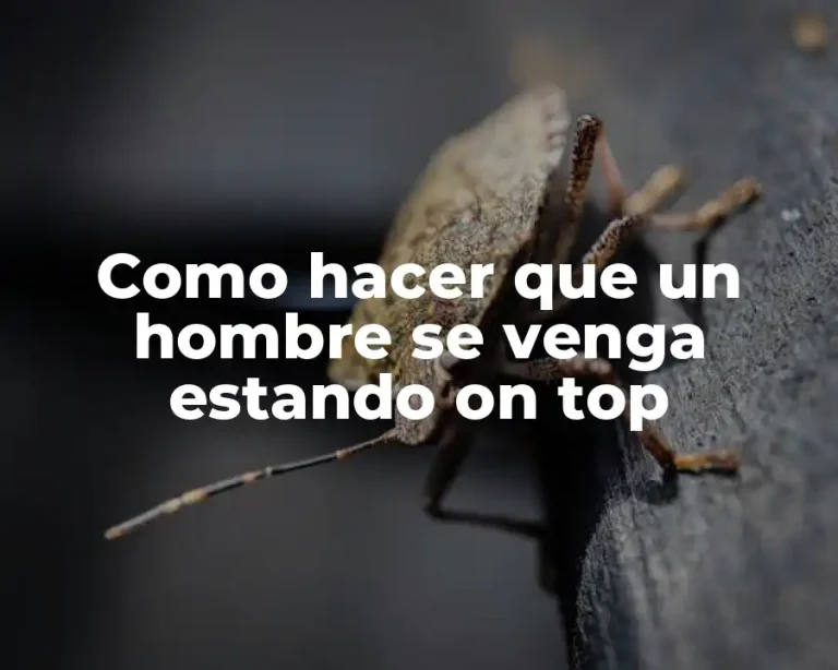 Como hacer que un hombre se venga estando on top