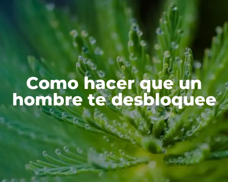 Como hacer que un hombre te desbloquee