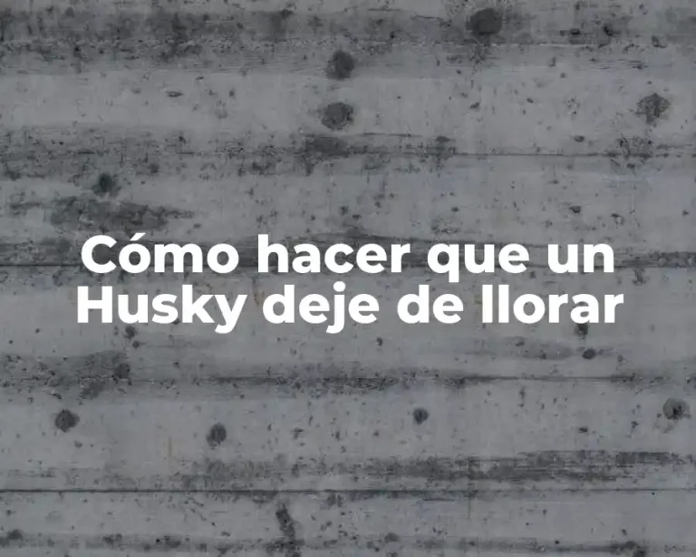 Cómo hacer que un Husky deje de llorar