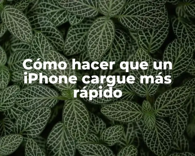 Cómo hacer que un iPhone cargue más rápido