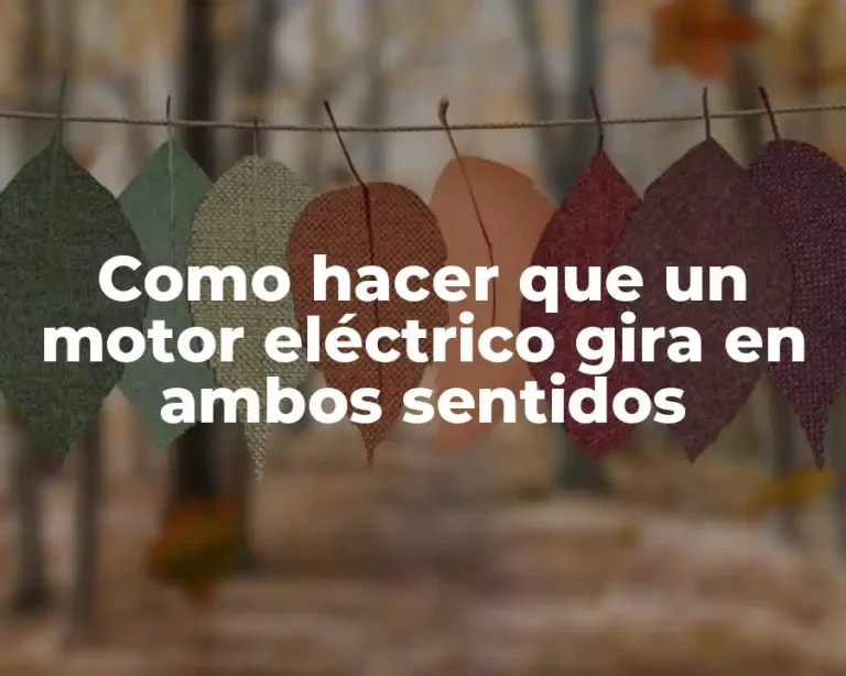Como hacer que un motor eléctrico gira en ambos sentidos