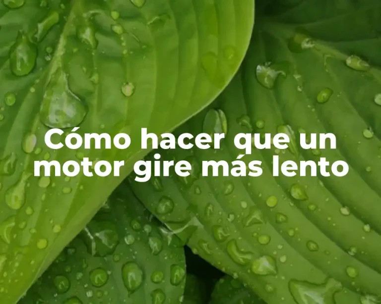 Cómo hacer que un motor gire más lento