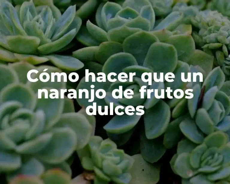 Cómo hacer que un naranjo de frutos dulces
