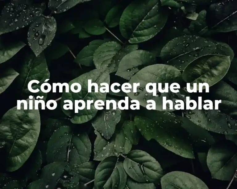 Cómo hacer que un niño aprenda a hablar