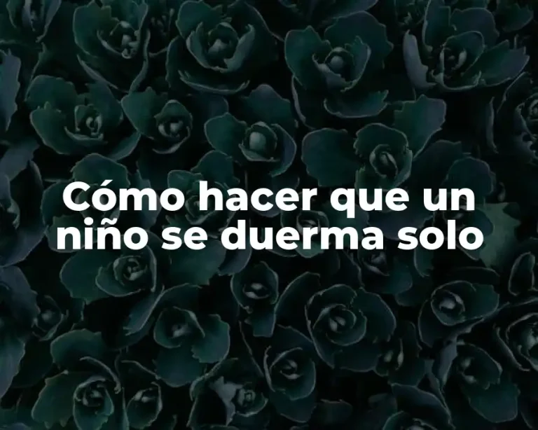 Cómo hacer que un niño se duerma solo