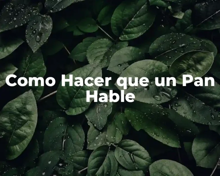 Como Hacer que un Pan Hable