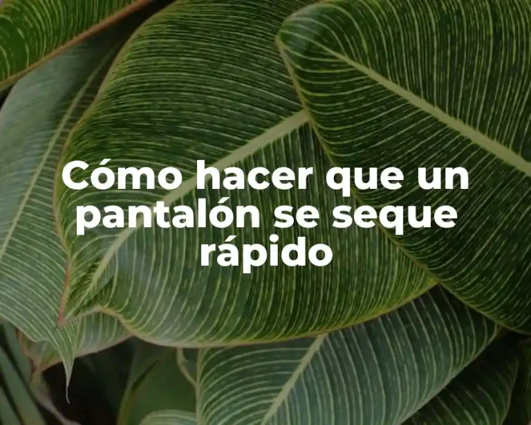 Cómo hacer que un pantalón se seque rápido