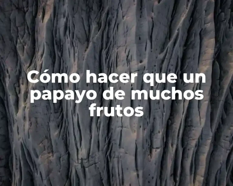 Cómo hacer que un papayo de muchos frutos