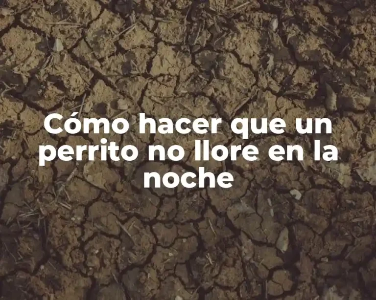 Cómo hacer que un perrito no llore en la noche