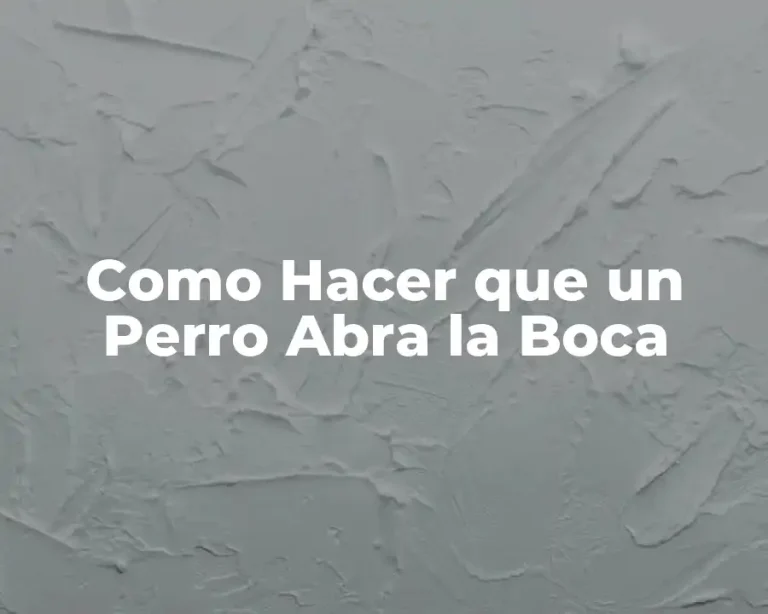 Como Hacer que un Perro Abra la Boca
