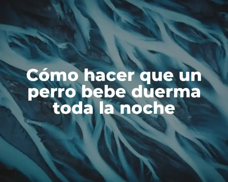 Cómo hacer que un perro bebe duerma toda la noche