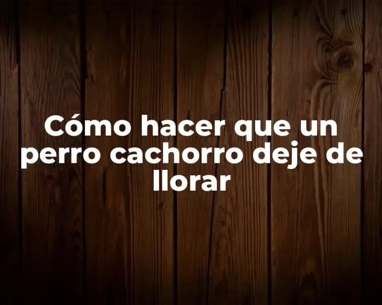 Cómo hacer que un perro cachorro deje de llorar