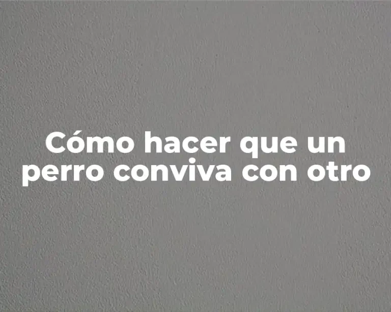 Cómo hacer que un perro conviva con otro