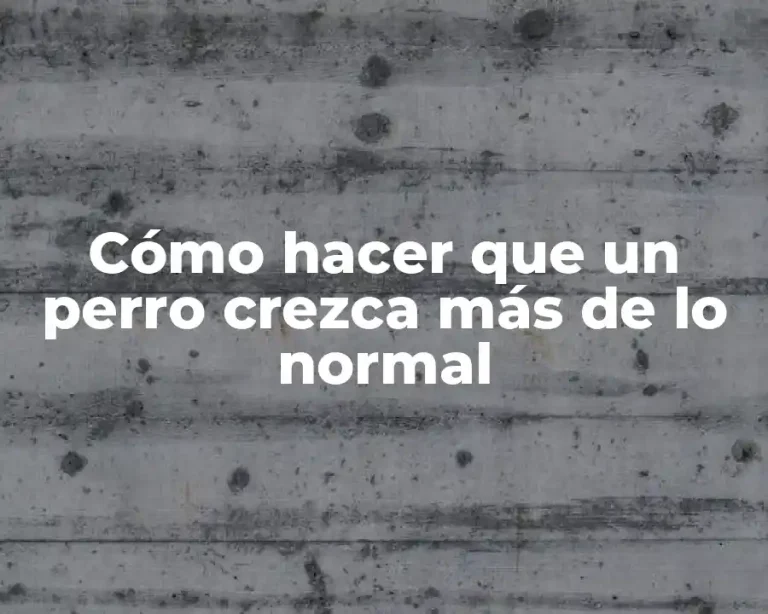 Cómo hacer que un perro crezca más de lo normal