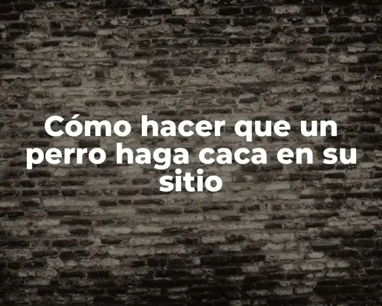 Cómo hacer que un perro haga caca en su sitio