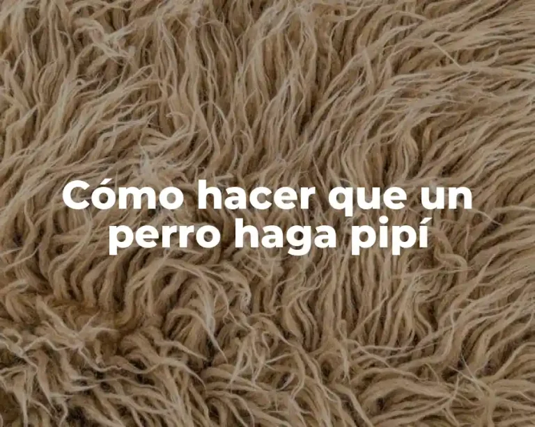 Cómo hacer que un perro haga pipí