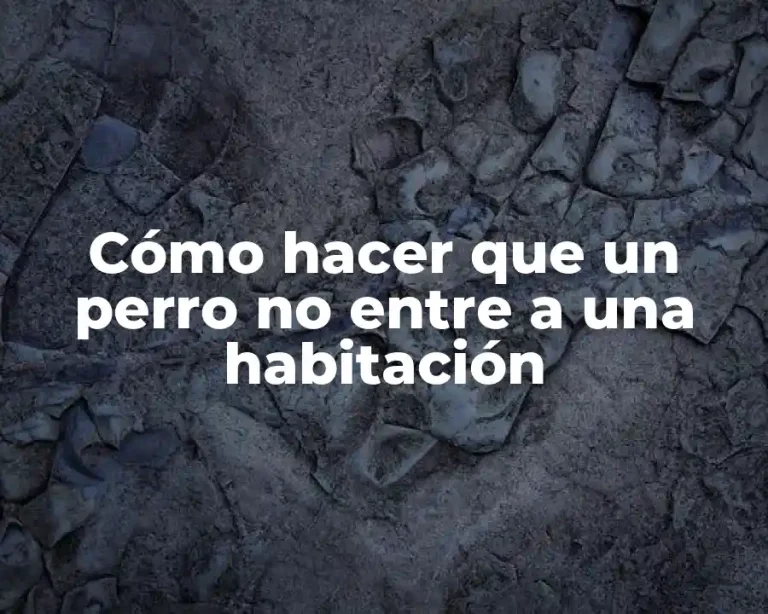 Cómo hacer que un perro no entre a una habitación