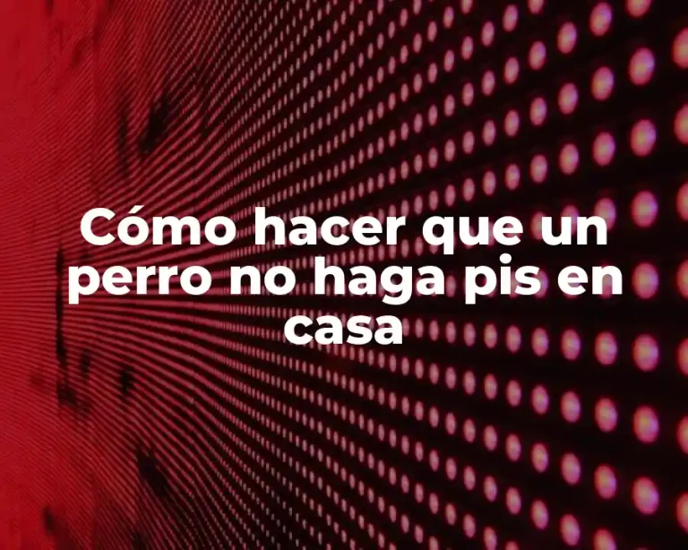 Cómo hacer que un perro no haga pis en casa