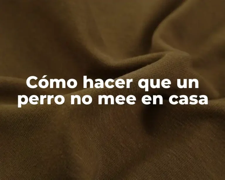 Cómo hacer que un perro no mee en casa