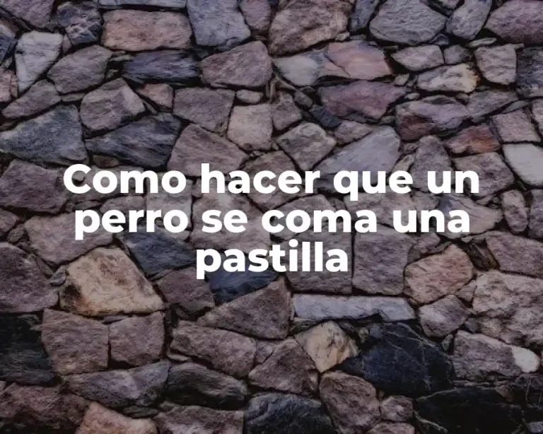 Como hacer que un perro se coma una pastilla