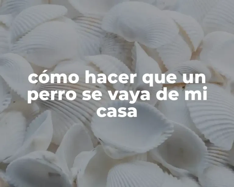 cómo hacer que un perro se vaya de mi casa