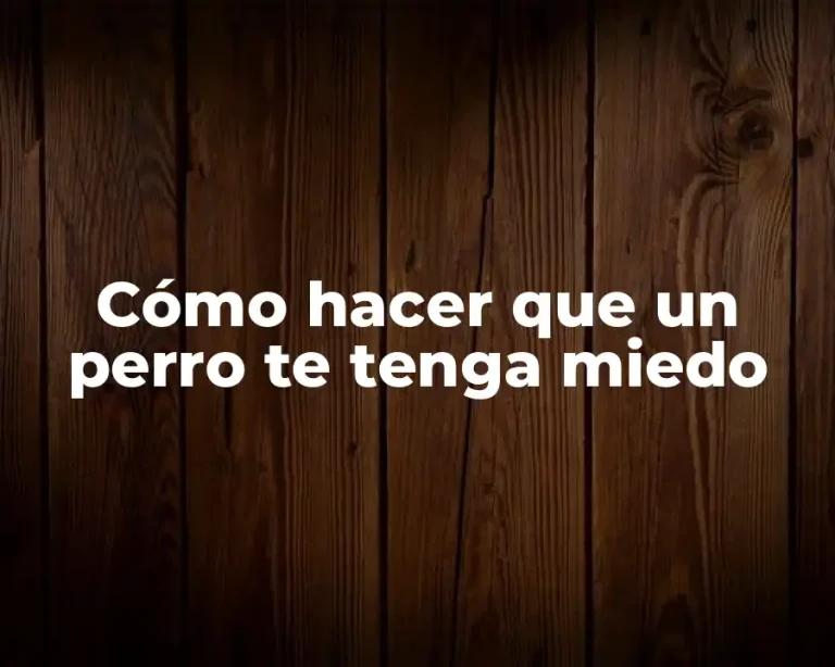 Cómo hacer que un perro te tenga miedo
