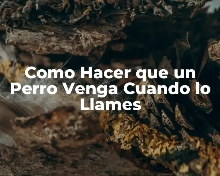 Como Hacer que un Perro Venga Cuando lo Llames