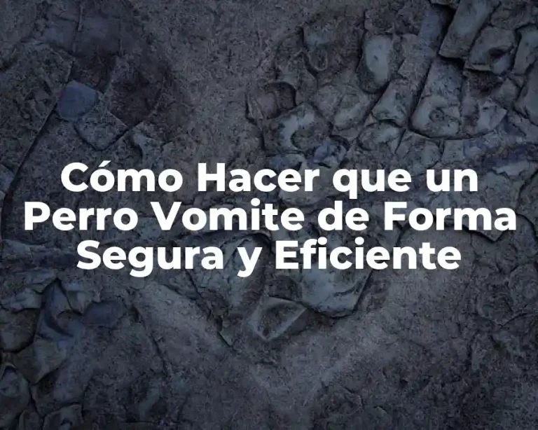 Cómo Hacer que un Perro Vomite de Forma Segura y Eficiente
