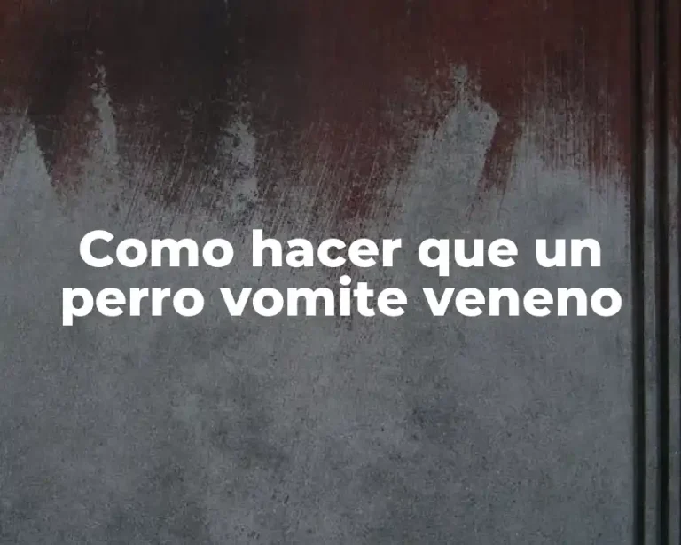 Como hacer que un perro vomite veneno