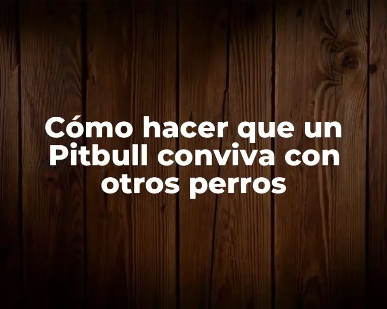 Cómo hacer que un Pitbull conviva con otros perros