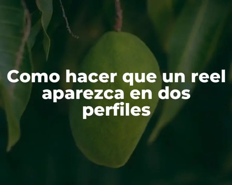 Como hacer que un reel aparezca en dos perfiles