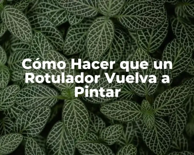Cómo Hacer que un Rotulador Vuelva a Pintar