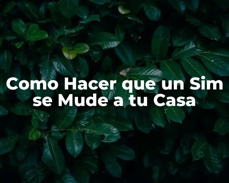 Como Hacer que un Sim se Mude a tu Casa