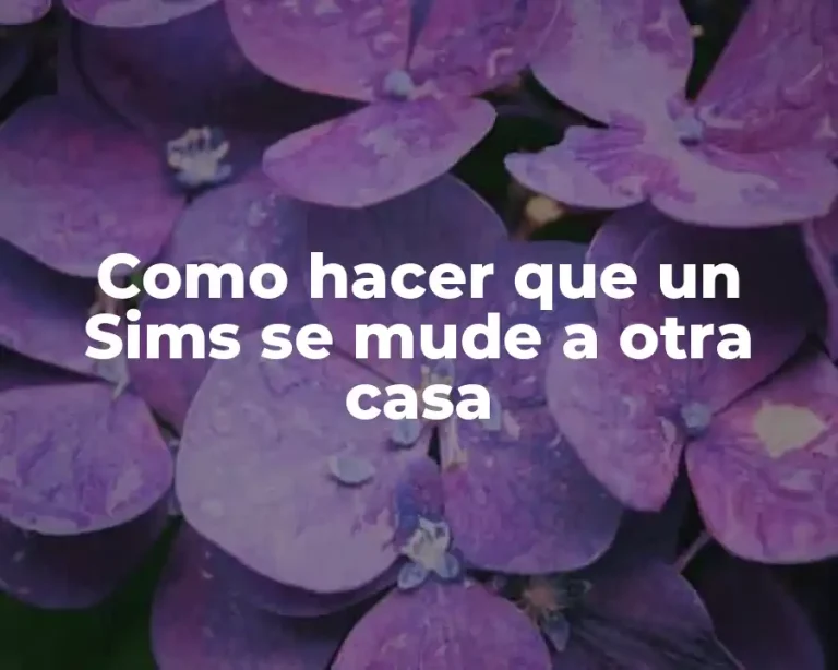 Como hacer que un Sims se mude a otra casa