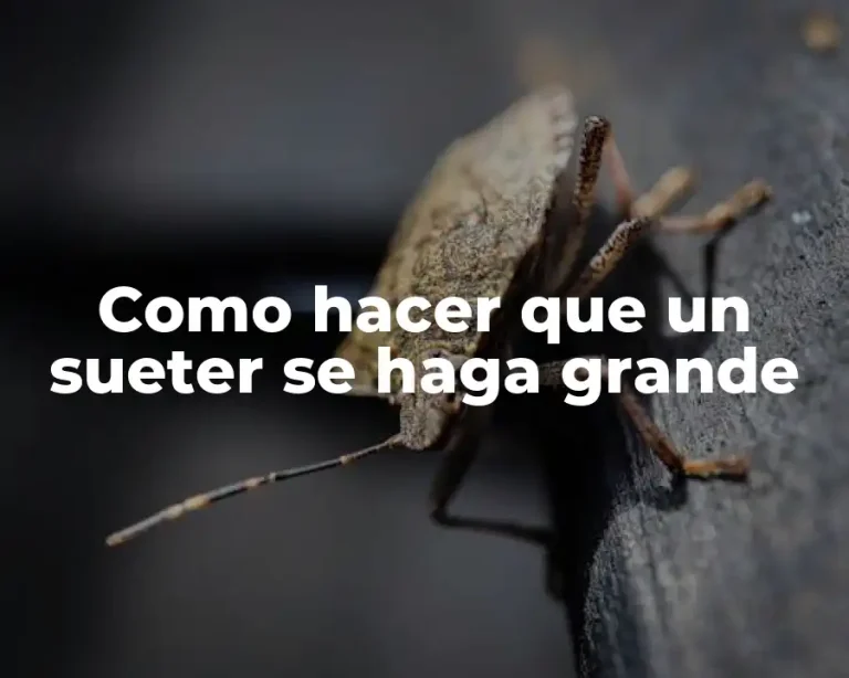 Como hacer que un sueter se haga grande