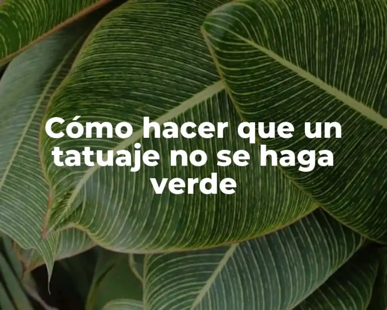 Cómo hacer que un tatuaje no se haga verde