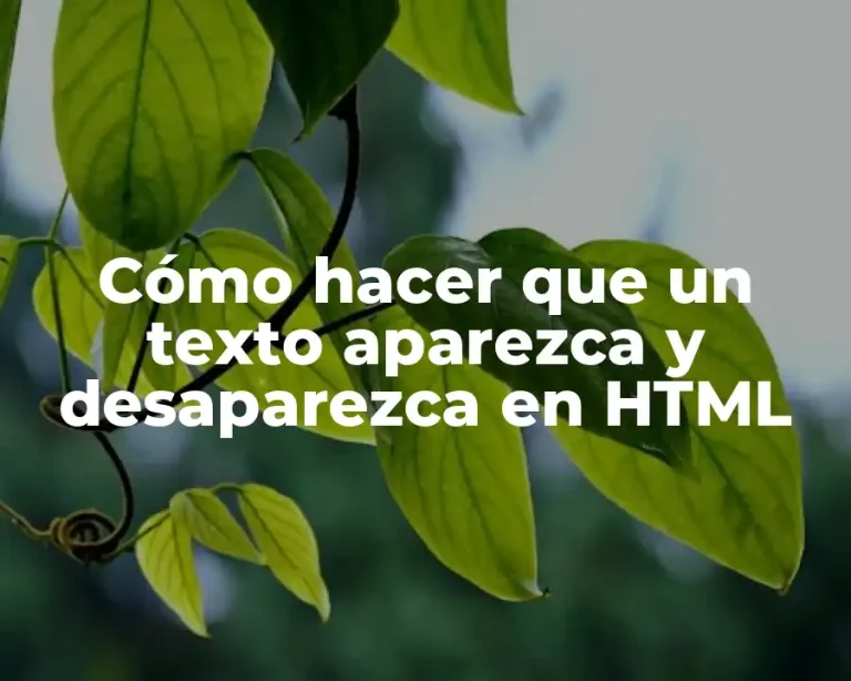 Cómo hacer que un texto aparezca y desaparezca en HTML