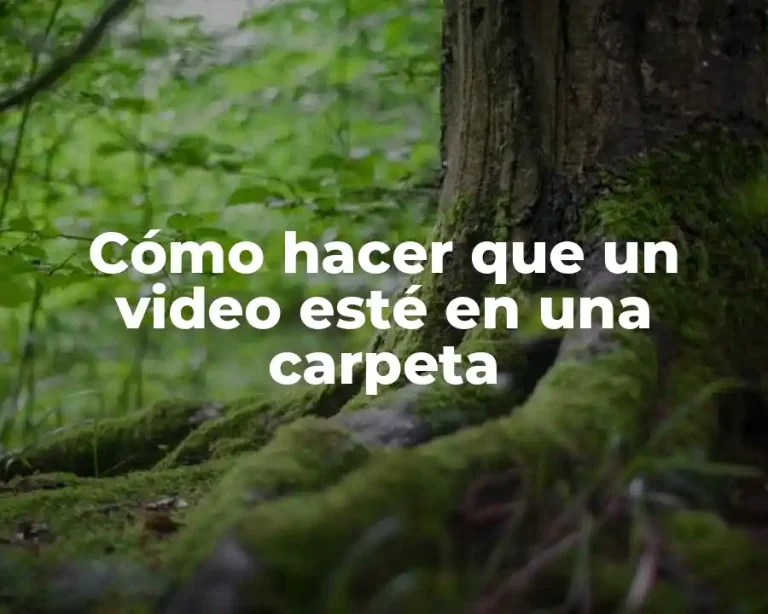Cómo hacer que un video esté en una carpeta