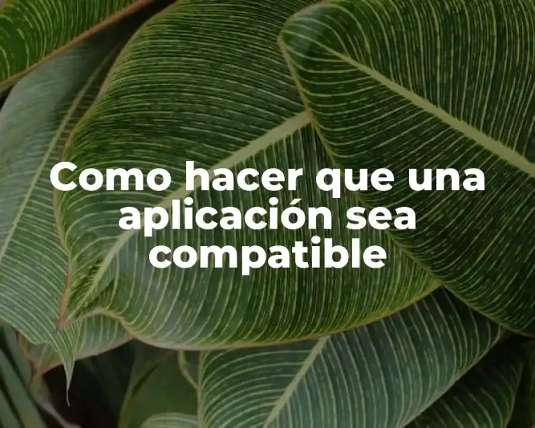 Como hacer que una aplicación sea compatible