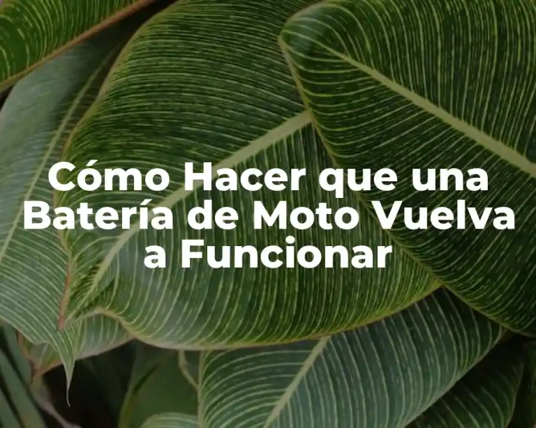 Cómo Hacer que una Batería de Moto Vuelva a Funcionar