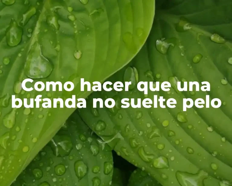 Como hacer que una bufanda no suelte pelo