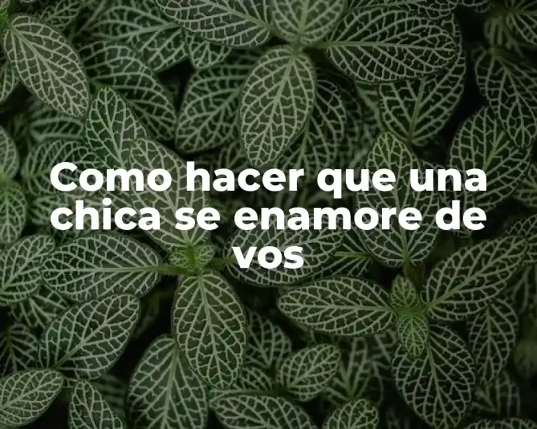 Como hacer que una chica se enamore de vos