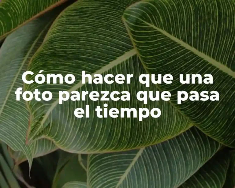 Cómo hacer que una foto parezca que pasa el tiempo